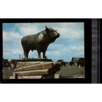 Carte postale sur les monts d�aubrac. laguiole (aveyron) - le taureau en l'�tat sur les photos