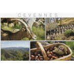 Carte postale xx eme siecle - cevennes - charmes et curiosites descevennes - elevage de chevres laitieres ...