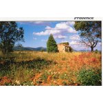 Carte postale xx eme siecle - non ecrite - provence - photo pailhares ste pec - editions as de coeur