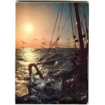 Carte postale - yvon - p�che en mer