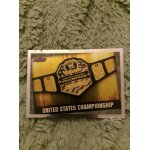 Carte slam attax evolution 2009 topps, united states championship.