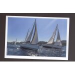 Carte vierge - photo couleur r�gate de voiliers - 15x10cm environ
