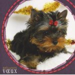 Carte de voeux double volet - meilleurs voeux (chien)