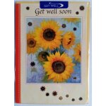 Carte de voeux - get well / bon r�tablissement - carte double + enveloppe (riverside cards, anglais, ...