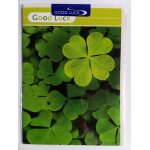 Carte de voeux - good luck / bonne chance - carte double + enveloppe (riverside cards, anglais, trfle ...