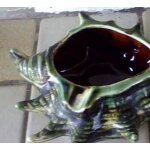 Cendrier en cramique vernisse en forme de coquillage - 17x10cm environ , hauteur 05cm - annes 60 / ...