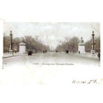 Paris avenue des champs - elys�es