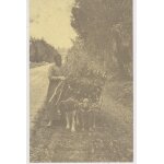 Chariot tir� par 2 chiens