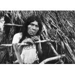 Chiapas  mujer de chenalho 1984. photo antonio turok (n8). diffusion sna jolobil. sup.