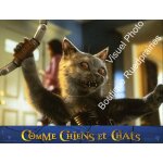 Comme chiens et chats - cats & dogs : jeu de photos d'exploitation cinématographique - format 21x27, ... Comme chiens et chats - cats & dogs : jeu de photos d'exploitation cinématographique - format 21x27, ...