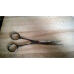 Ciseaux anciens nogent titus