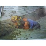 Le clan des irr�ductibles (sometimes a great notion)