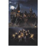 Cp   harry potter a l'�cole des sorciers : arriv�e de nuit au ch�teau de poudlard  .