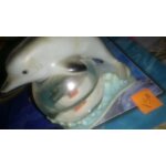 Dauphin sur boule de neige