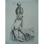 Dessin attribue au titien ou jean de calcar planche anatomie reproduction publicite pharmaceutique durabolin ...