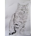 Dessin chat tigr� encre de chine, lavis fine art a4 gros matou