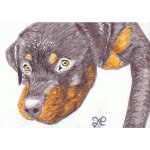 Dessin chien mignon - feutres promarker p72 Dessin chien mignon - feutres promarker p72