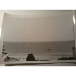 Dinard regates 14 / 08 / 1950