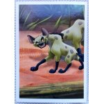 Disney, une semaine avec tes héros - roi lion n89 - image, sticker, autocollant panini 2018 Disney, une semaine avec tes héros - roi lion n89 - image, sticker, autocollant panini 2018