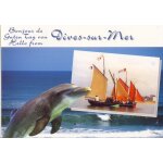 Dives sur mer (bonjour de. . . , guten tag von. . . , hello from. . . ) son poert de plaisance et ses ...
