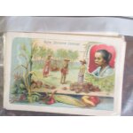 Domaine colonial, chaussures finoki