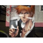 Double poster bleach