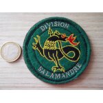 Ecusson militaire division salamandre guerre du golfe insigne
