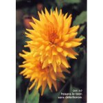 Fatzer, photo w. rauch, gal. 6. 9 : faisons le bien sans d�faillance