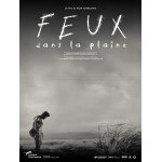 Feux dans la plaine (nobi) - v�ritable affiches de cin�ma pli�e - format 40x60 cm - de kon ichikawa avec ...