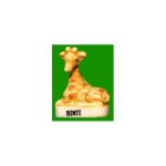 F�ve binti - s�rie zoo parc de beauval (2020)