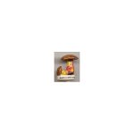 F�ve bolets a pied rouge - s�rie les rois des champignons (epi folie 2005)