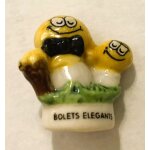 F�ve champignons bolets elegants