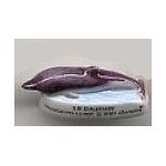 F�ve le dauphin - s�rie wwf prot�geons la mer (2004)