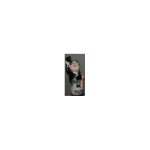 F�ve hardy galant - s�rie laurel et hardy f�tent les rois (1996)