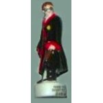F�ve harry potter - s�rie harry potter et le prince de sang m�l� (2010)