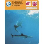 Fiche cousteau l'utilisation du d�bordoir a requins