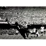 Fiche football coupe du monde 1950: le cauchemar brésilien Fiche football coupe du monde 1950: le cauchemar brésilien