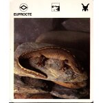 Fiche le grand fichier du monde animal euprocte