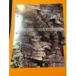 Fiche intercalaire groupe 7 le comportement animal - a la decouverte du monde sauvage - les editions ...