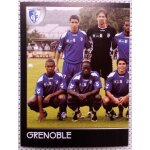 Foot 2008 - championnat de france de l1 et l2 - grenoble n549 - image, sticker, autocollant, vignette ...