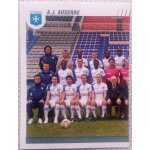 Foot 2009 - championnat de france de l1 et l2 - auxerre n2 - image, sticker, autocollant, vignette panini ...