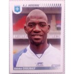 Foot 2009 - championnat de france de l1 et l2 - auxerre n9 adama coulibaly - image, sticker, autocollant, ...