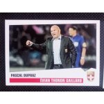 Foot 2013 2014 - evian thonon gaillard 80 pascal dupraz - image vignette panini