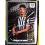 Foot 2022 angers n26 la recrue - image sticker vignette panini