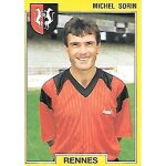Foot 92 panini michel sorin 220