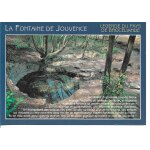 For�t de broc�liande : la fontaine de jouvence