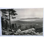 Foret de l'ospedale vue sur porto vecchio noir et blanc corse Foret de l'ospedale vue sur porto vecchio noir et blanc corse