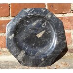Fossile orthoceras mineral assiette octogonale 25 cm (diamtre)