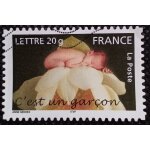 France 2005 timbre oblitr yt 55 - carnet c'est un garon (anne geddes)
