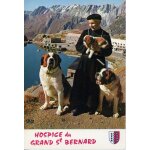 Grand saint - bernard - chanoine et chiens de l'auspice